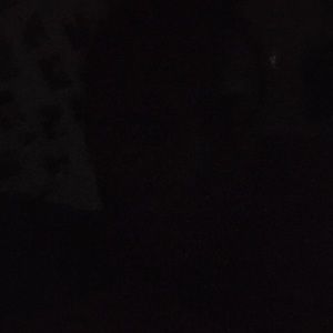 Meet your Posher, Leona